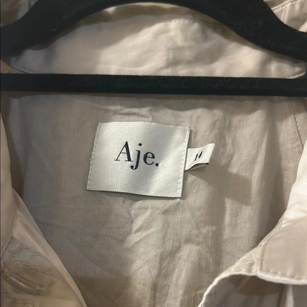 NWOT. Aje Novella Mini Smock Dress. Stylish Beige Dress with Ruffle Hem - Picture 6 of 13